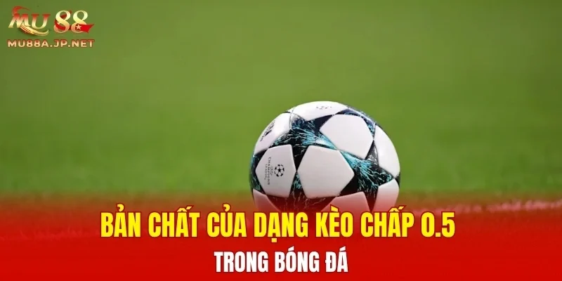 Bản chất của dạng kèo chấp 0.5 trong bóng đá