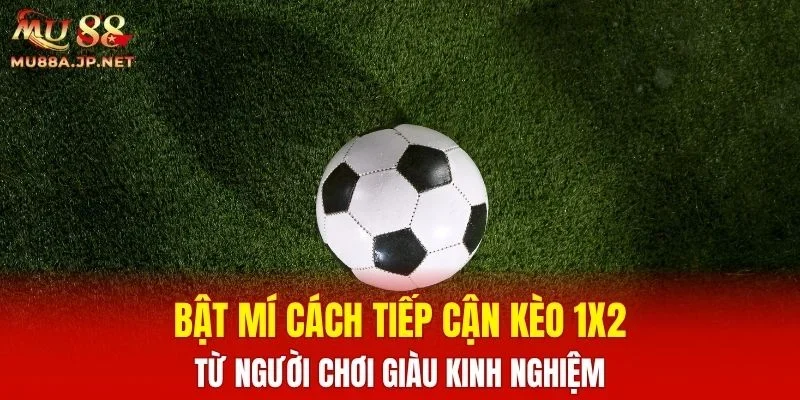 Bật mí cách tiếp cận kèo 1X2 từ người chơi giàu kinh nghiệm