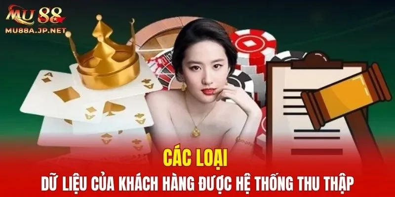 Các loại dữ liệu của khách hàng được hệ thống thu thập