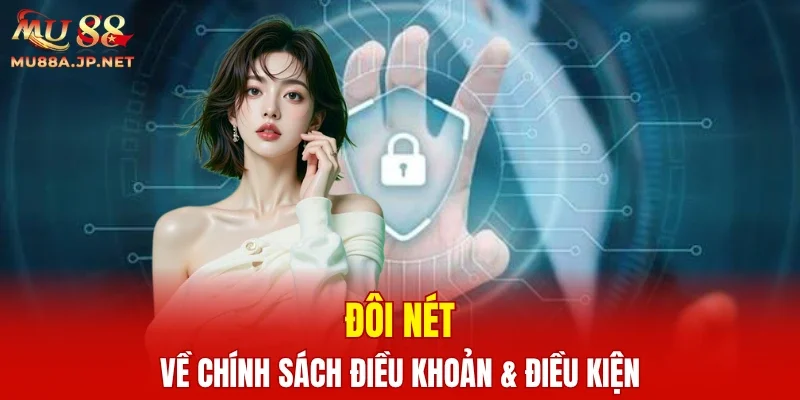 Đôi nét về chính sách điều khoản & điều kiện