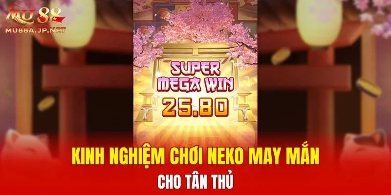 Kinh nghiệm chơi Neko May Mắn cho tân thủ