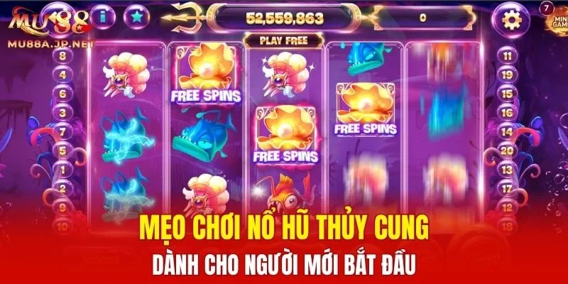 Mẹo chơi Nổ Hũ Thủy Cung dành cho người mới bắt đầu