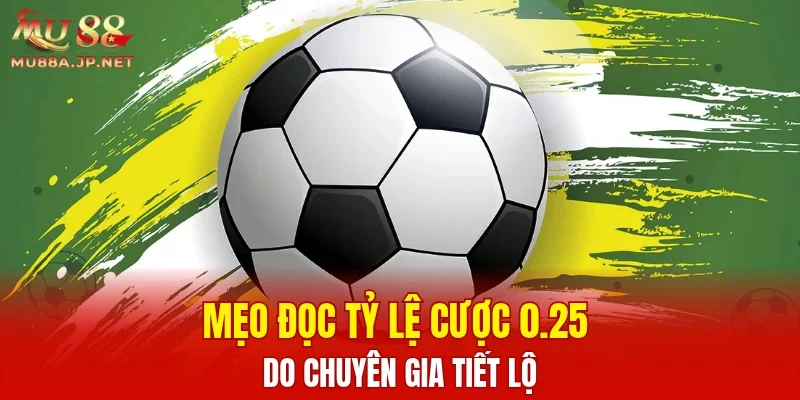Mẹo đọc tỷ lệ cược 0.25 do chuyên gia tiết lộ