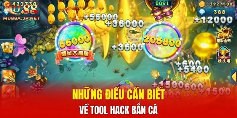 Những điều cần biết về Tool Hack Bắn Cá