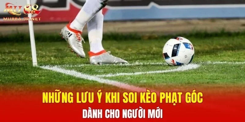 Những lưu ý khi soi kèo Phạt Góc dành cho người mới