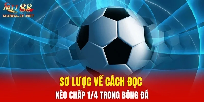 Sơ lược về cách đọc kèo chấp 1/4 trong bóng đá