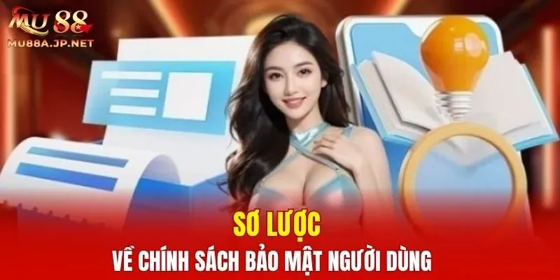 Sơ lược về chính sách bảo mật người dùng