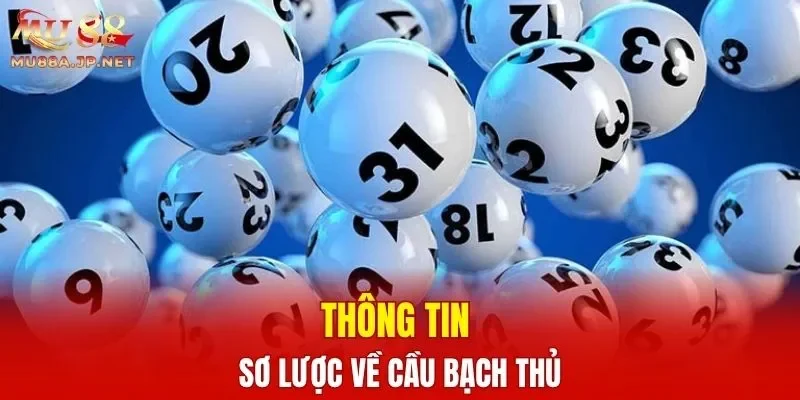 Thông tin sơ lược về cầu bạch thủ