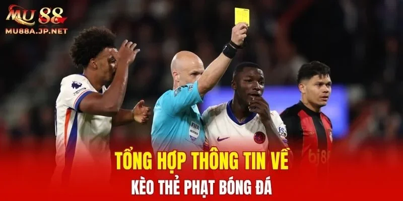Tổng hợp thông tin về kèo Thẻ Phạt bóng đá