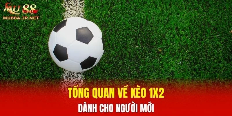 Tổng quan về kèo 1X2 dành cho người mới