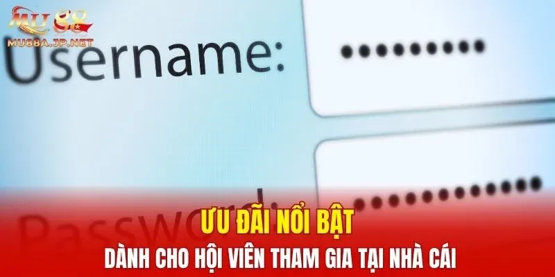 Ưu đãi nổi bật dành cho hội viên tham gia tại nhà cái