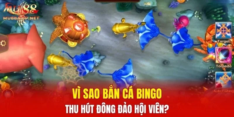 Vì sao Bắn Cá Bingo thu hút đông đảo hội viên?
